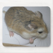 Hamster Mat