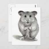 HAMSTER MET PEANUT, PENCIL ART BRIEFKAART (Voorkant / Achterkant)