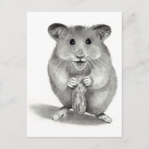 HAMSTER MET PEANUT, PENCIL ART BRIEFKAART