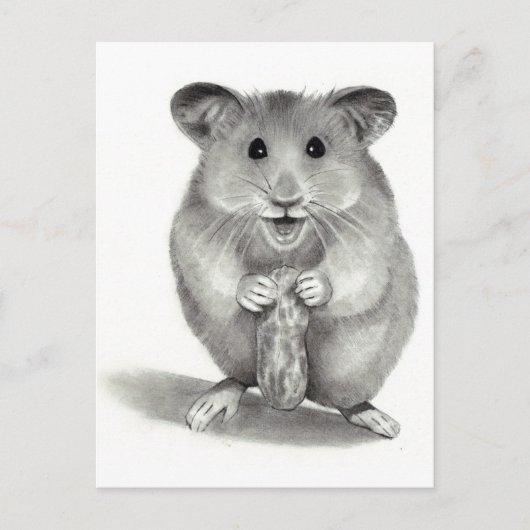 HAMSTER MET PEANUT, PENCIL ART BRIEFKAART (Voorkant)