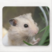 hamster mousepad muismat (Voorkant)