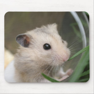 hamster mousepad muismat