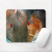 Hamster Muismat (Met muis)