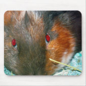 Hamster Muismat (Voorkant)