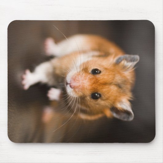 Hamster Muismat (Voorkant)