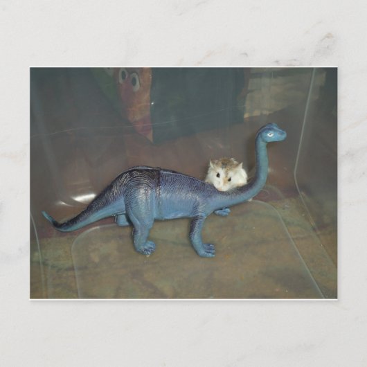 Hamster op een dinosaurus briefkaart (Voorkant)