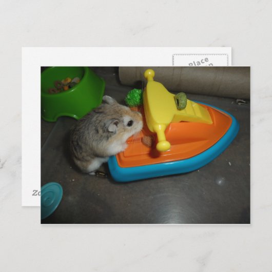 Hamster op een Jet-ski Briefkaart (Voorkant / Achterkant)