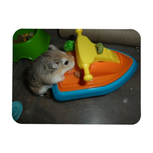 Hamster op een Jet-ski Magneet (Horizontaal)