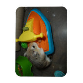 Hamster op een Jet-ski Magneet (Verticaal)