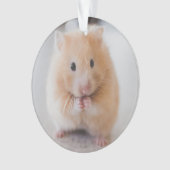 hamster ornament (voorkant)