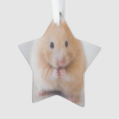 hamster ornament (voorkant)