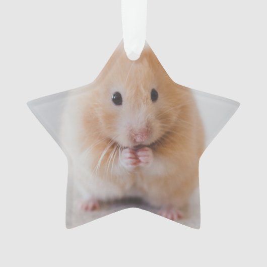hamster ornament (voorkant)