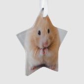 hamster ornament (voorkant)