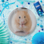 hamster papieren bordje (Feest)