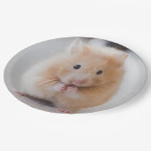 hamster papieren bordje (Gekanteld)