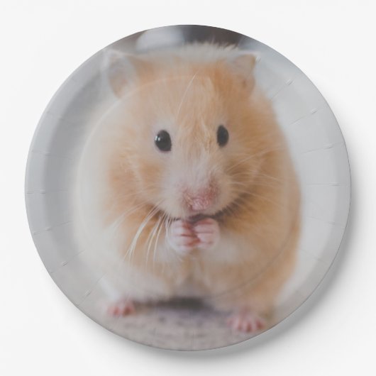 hamster papieren bordje (Voorkant)