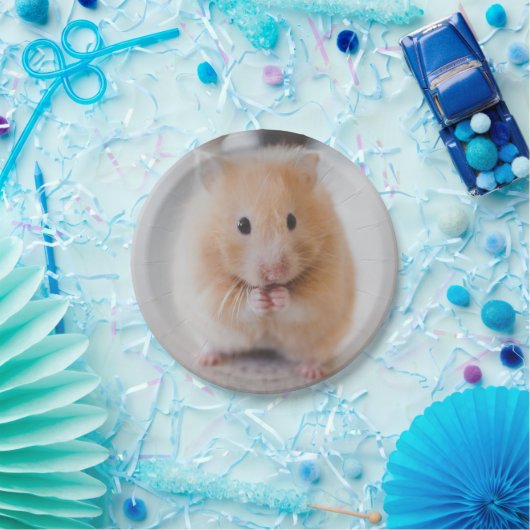 hamster papieren bordje (Feest)