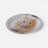 hamster papieren bordje (Gekanteld)