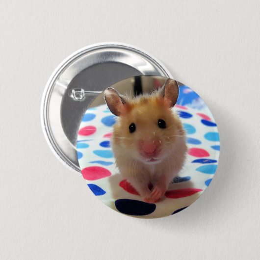 Hamster Pinback Button (Voorkant /achterkant)