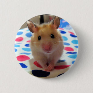 Hamster Pinback Button
