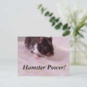 Hamster power Noah, Hamster Power! Briefkaart (Staand voorkant)