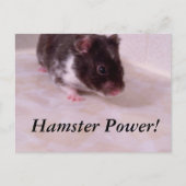 Hamster power Noah, Hamster Power! Briefkaart (Voorkant)