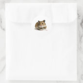 Hamster Ronde Sticker (Tas)