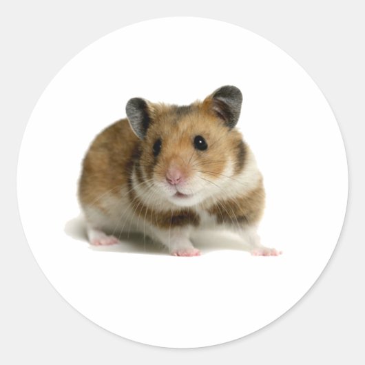 Hamster Ronde Sticker (Voorkant)