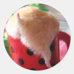 Hamster Ronde Sticker
