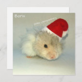 Hamster Santa. Feestdagenkaart (Voorkant / Achterkant)