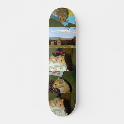 Hamster Skateboard (Voorkant)