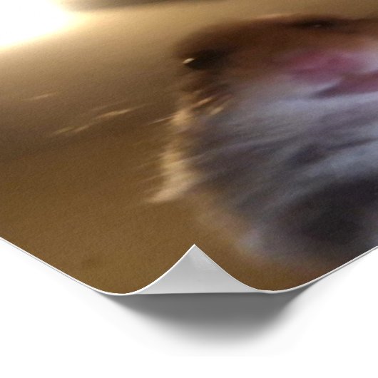 Hamster Staring Meme Poster (Hoek)