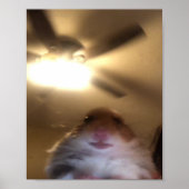 Hamster Staring Meme Poster (Voorkant)