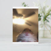 Hamster Staring Meme Save The Date (Staand voorkant)