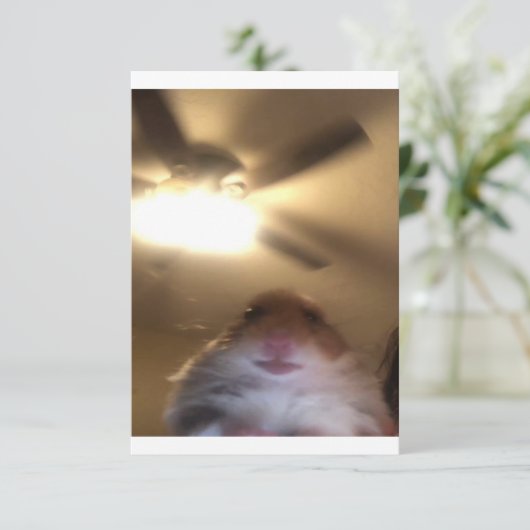 Hamster Staring Meme Save The Date (Staand voorkant)