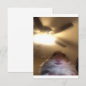 Hamster Staring Meme Save The Date (Voorkant / Achterkant)