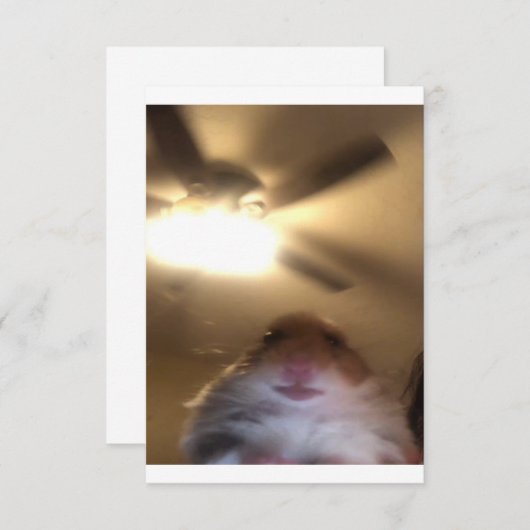 Hamster Staring Meme Save The Date (Voorkant / Achterkant)