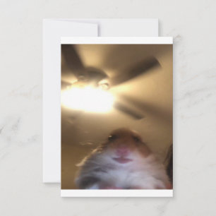 Hamster Staring Meme Save The Date