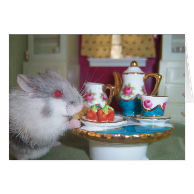 Hamster Tea (Voorkant Horizontaal)