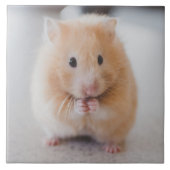 hamster tegeltje (Voorkant)