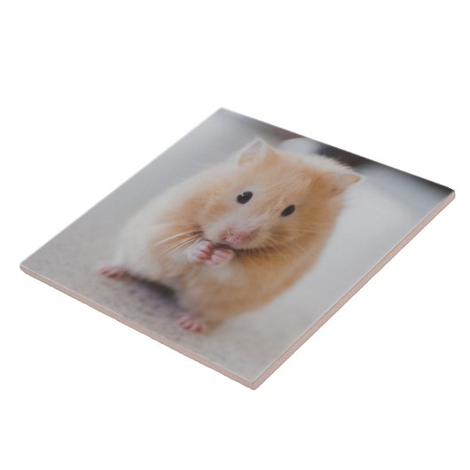hamster tegeltje (Zijkant)