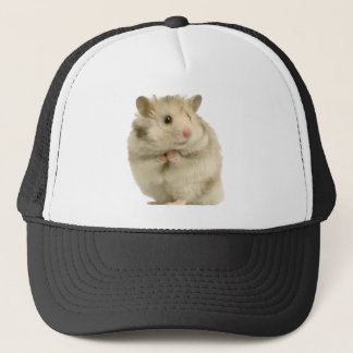 Hamster Trucker Pet