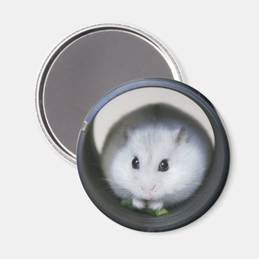 Hamster Tube Magnet (Voorkant / Achterkant)