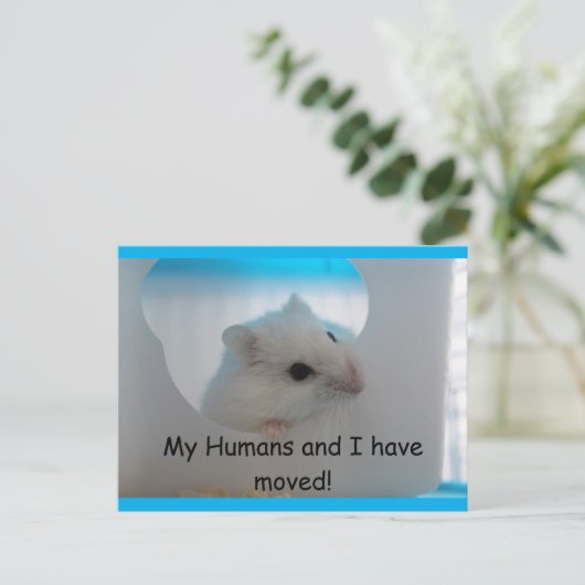 Hamster We hebben Briefkaart verplaatst (Staand voorkant)