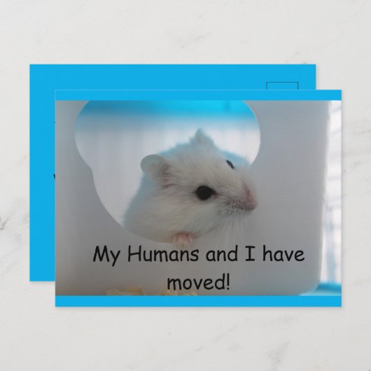 Hamster We hebben Briefkaart verplaatst (Voorkant / Achterkant)