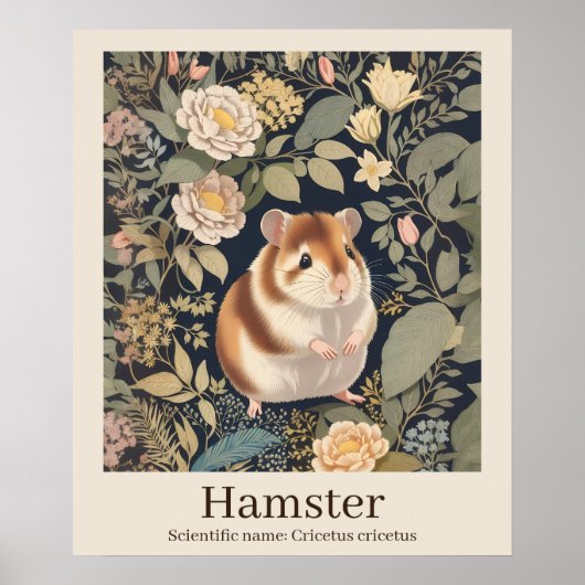 Hamster Wetenschappelijke naam Animal Poster (Voorkant)