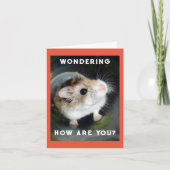 Hamster Wondering Note Card Kaart (Voorkant)