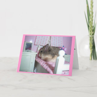 Hamster wordt beter kaart