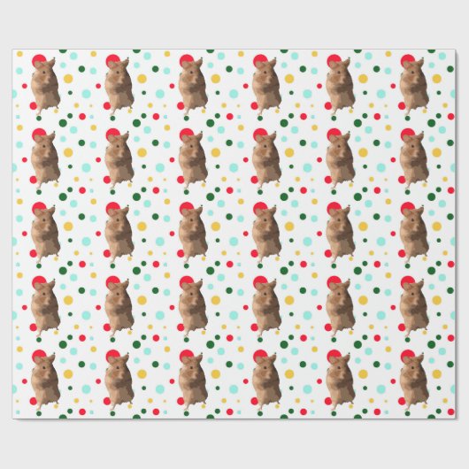 Hamster Wrap Cadeaupapier (Vlak)