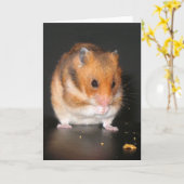 Hamsterkaart Kaart (Gele Bloem)